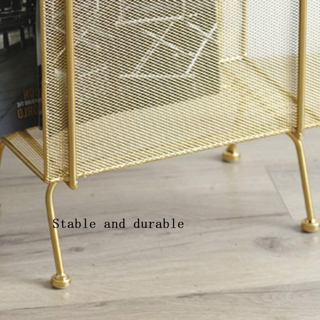 Wrought Iron Bookshelf Floor Stand Bedroom Bedside Living Room Shelf Sandwich Multi-Layer Magazine Rack