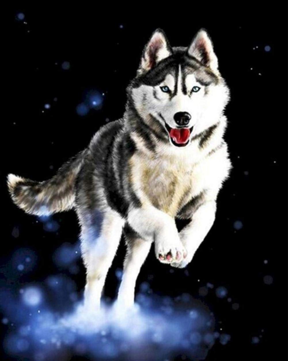 Peinture par numéro Husky kit chien 40x50cm tableau à peindre soi-même