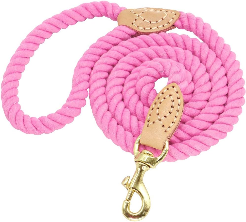 Basic Leashes Durable Nylon Dog Leash Pet Puppy Walking Training Dog Leash Lead Strap Belt Cotton Traction Rope 5ft Long for Pet(Purple)