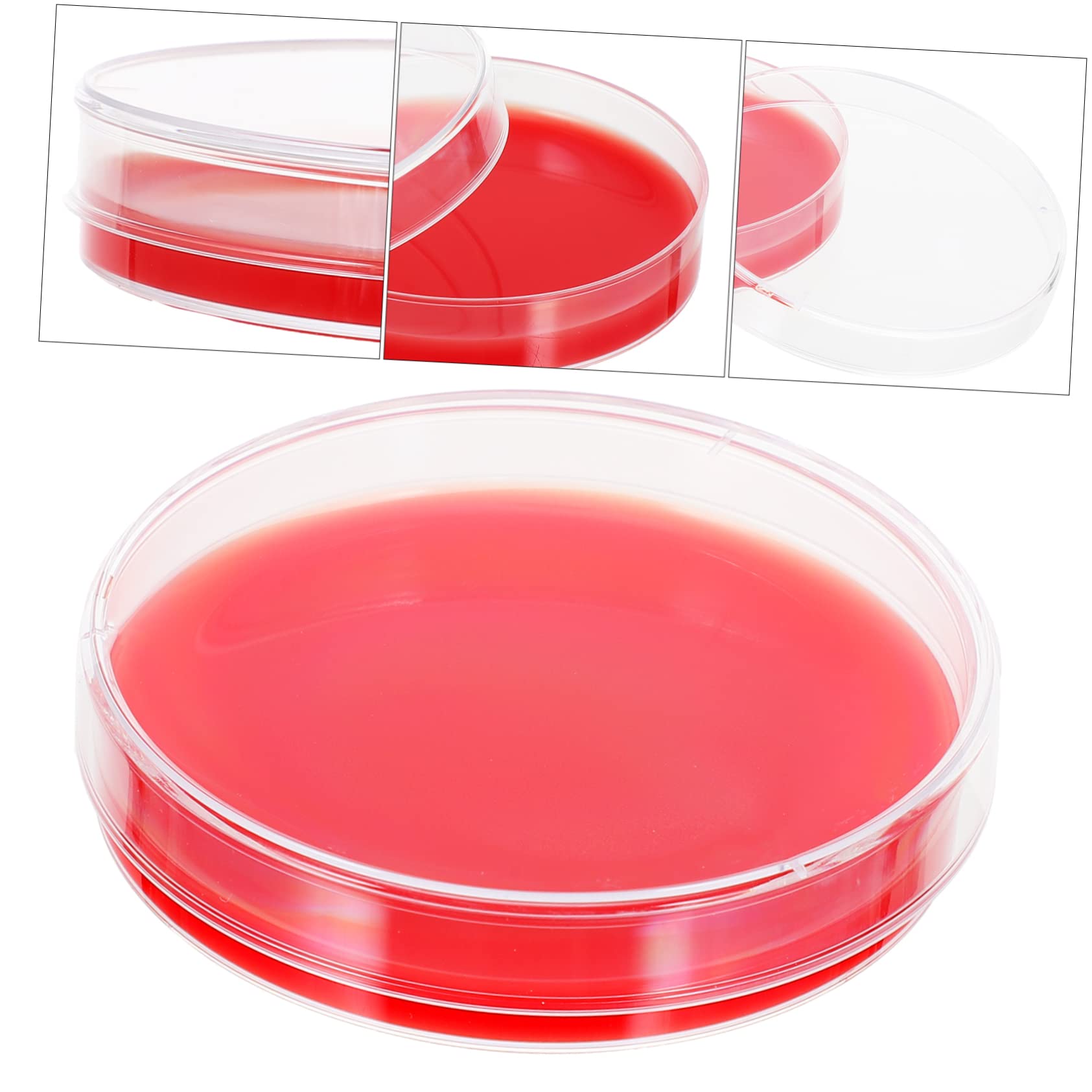 ULTECHNOVO 20pièces Plaques De Pétri Agar De Milieu De Culture Pour Laboratoire Résistantes Aux Chocs Et Faciles à Utiliser Idéales Pour Institutions Médicales Et Scientifiques