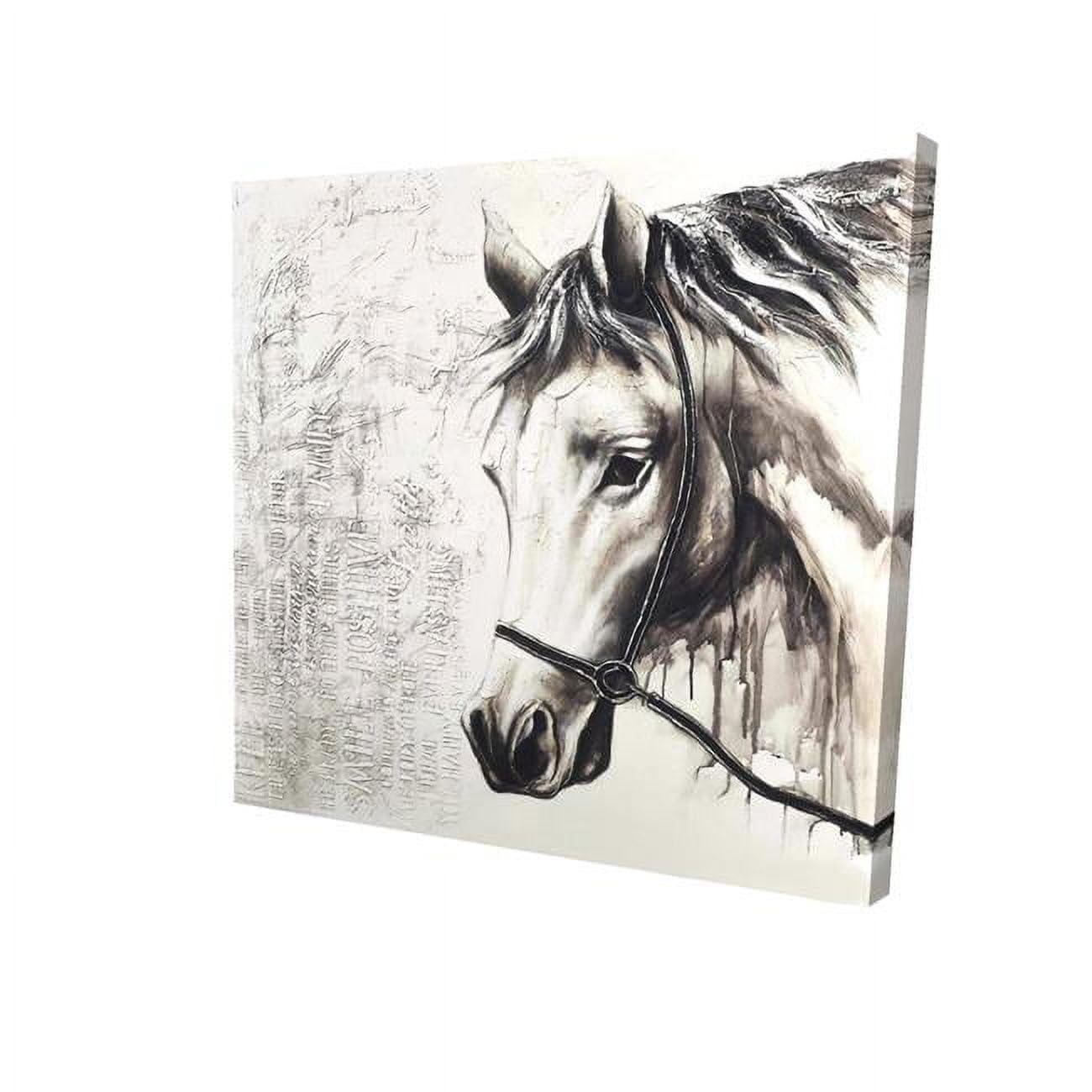 Begin Home Decor 2080-1212-AN69 12 x 12 in. Alpha The White Horse-Print on Canvas
