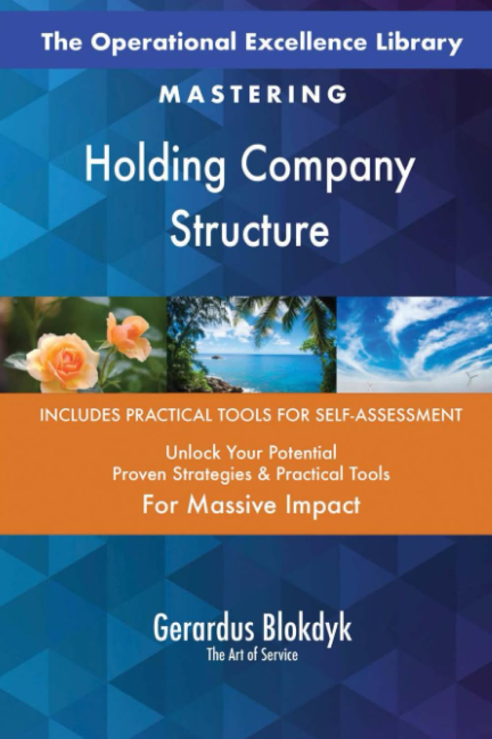 The Operational Excellence Library; Mastering Holding Company Structure