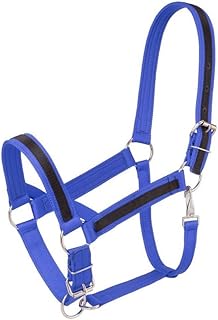 Tough 1 Premium Nylon Halter with Overlay, Royal Blue, Draft