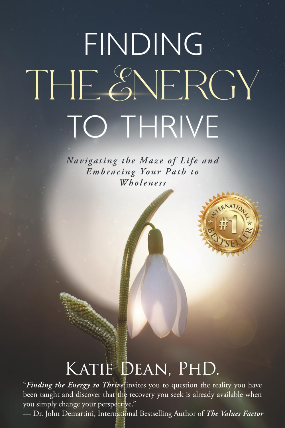 Finding the Energy to Thrive: Navigating the Maze of Life and Embracing Your Path to Wholeness