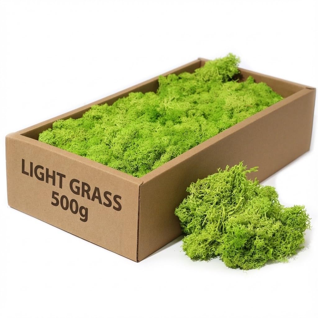 floral supplies Stabilised Reindeer Moss – Preserved Lichen for Model Scenery, Railway Landscapes, Terrariums, Floristry & Art Crafts – Soft Texture & Maintenance Free (Light Grass, 100g)