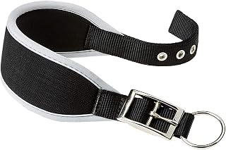 Ferplast dog collar ERGOCOMF, Greyhound collar, soft padding, silver