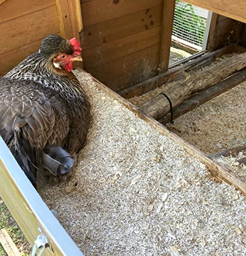 Hemp Chicken and Animal Bedding 8 Lbs of Natural Ground Hurds - Super Absorbent- DUST Free- for Your Chickens, Horse, Rabbit, Reptile, Hamster, Cage Coop or CAT Litter - USA Grown - Carbon Negative by Bean Products - Image 6