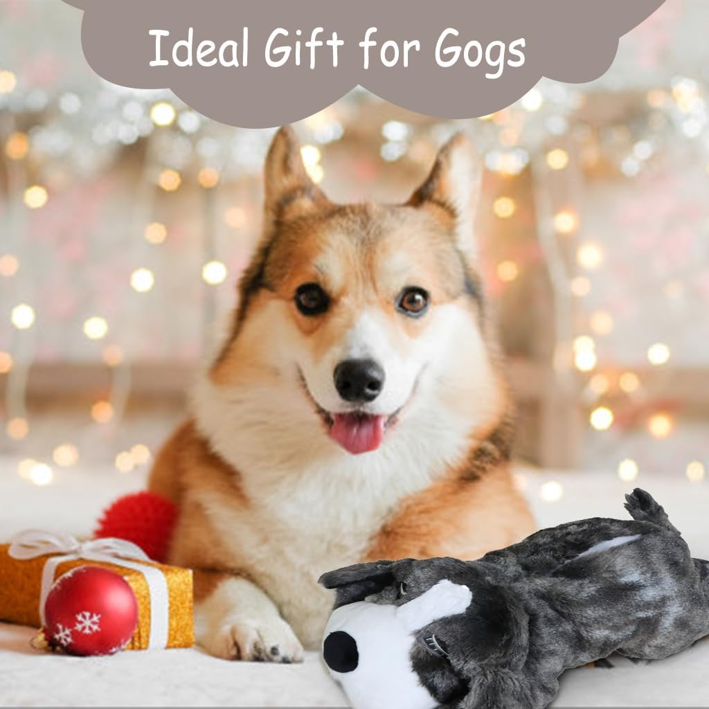 61bGWsL805L. AC SL1024