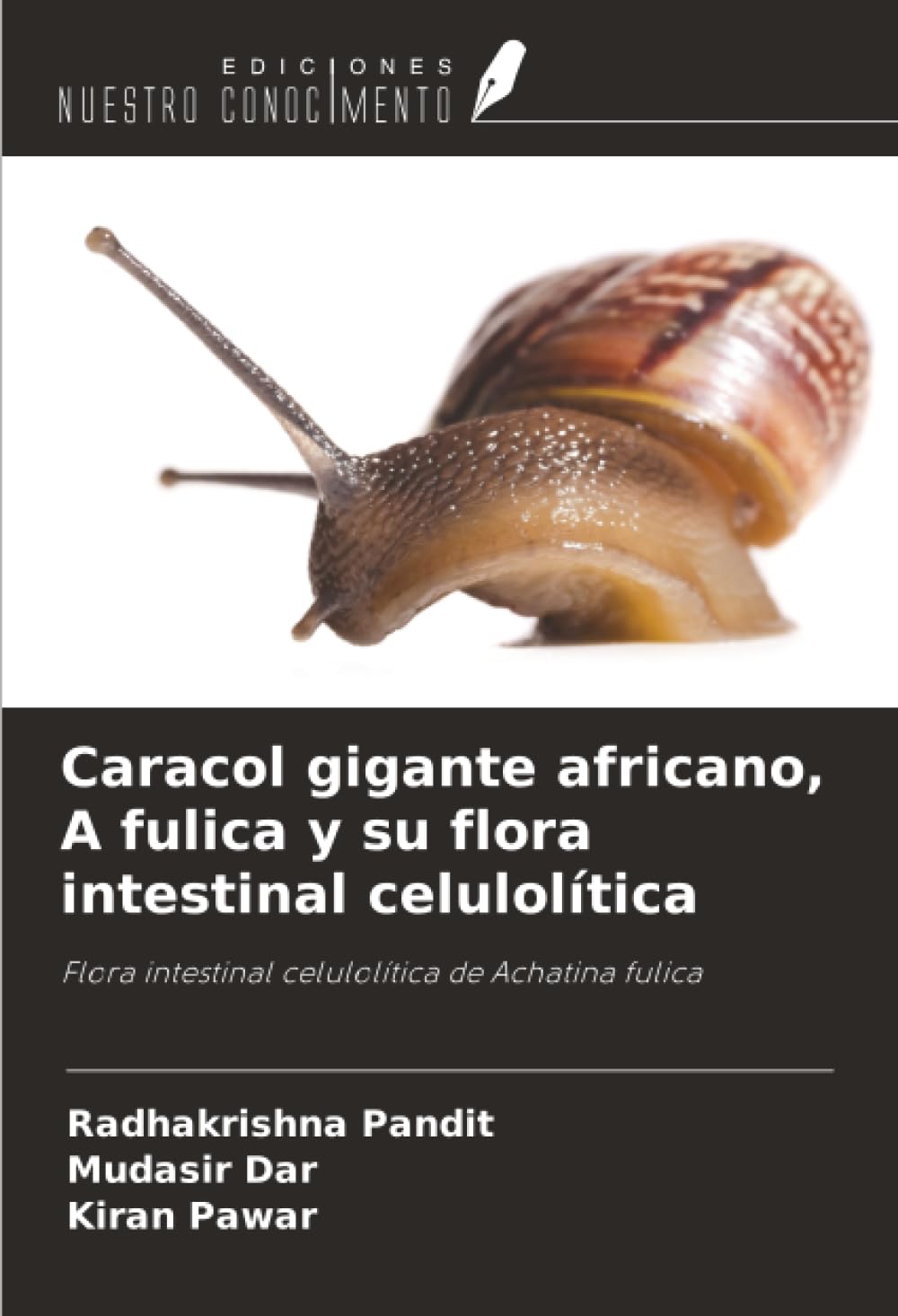 Caracol gigante africano, A fulica y su flora intestinal celulolítica: Flora intestinal celulolítica de Achatina fulica