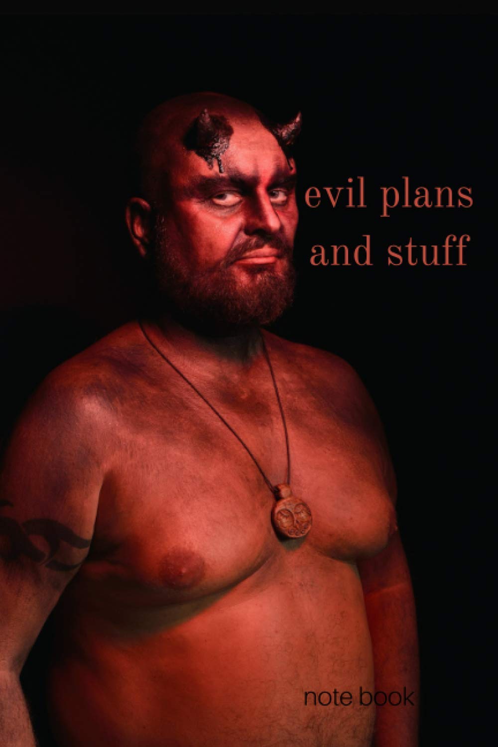 Evil Plans And Stuff notebook: evil plans (Planner ,Organizer