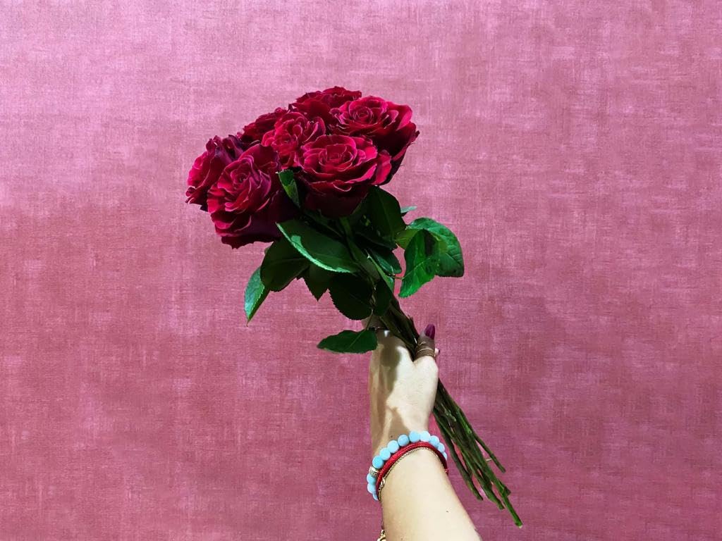 Rose Bunch Stems N Pots (20 stems, Red)