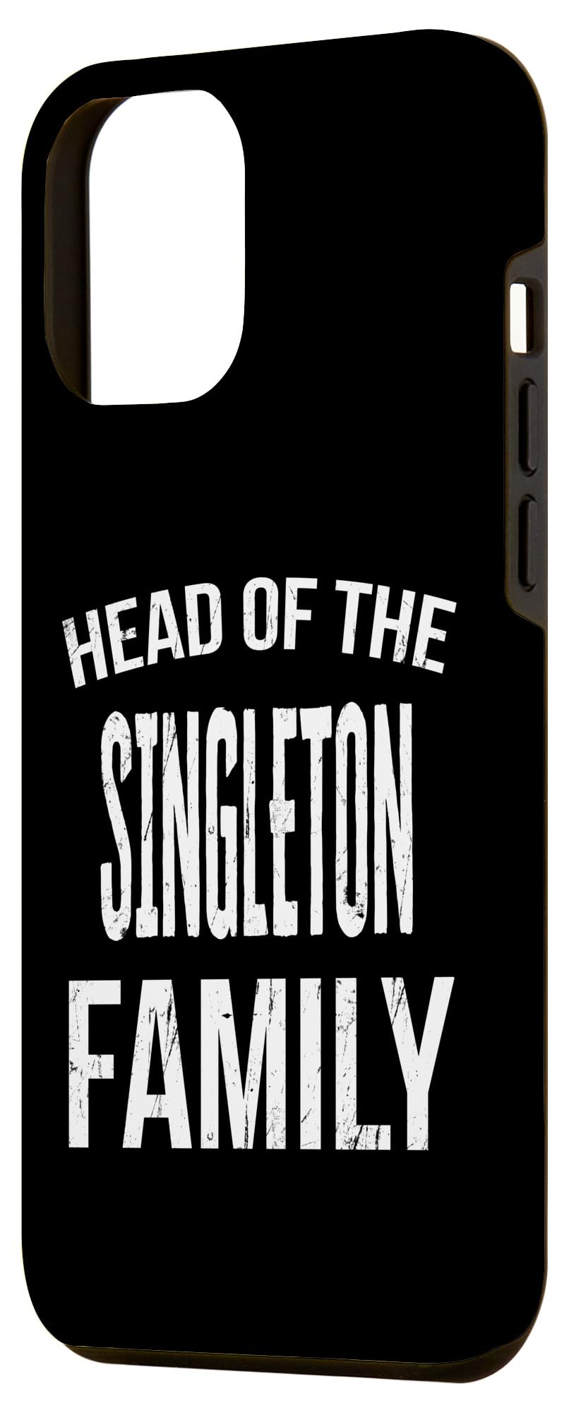 iPhone 12 Pro Max Head Of The Singleton Family Reunion Case - Image 2