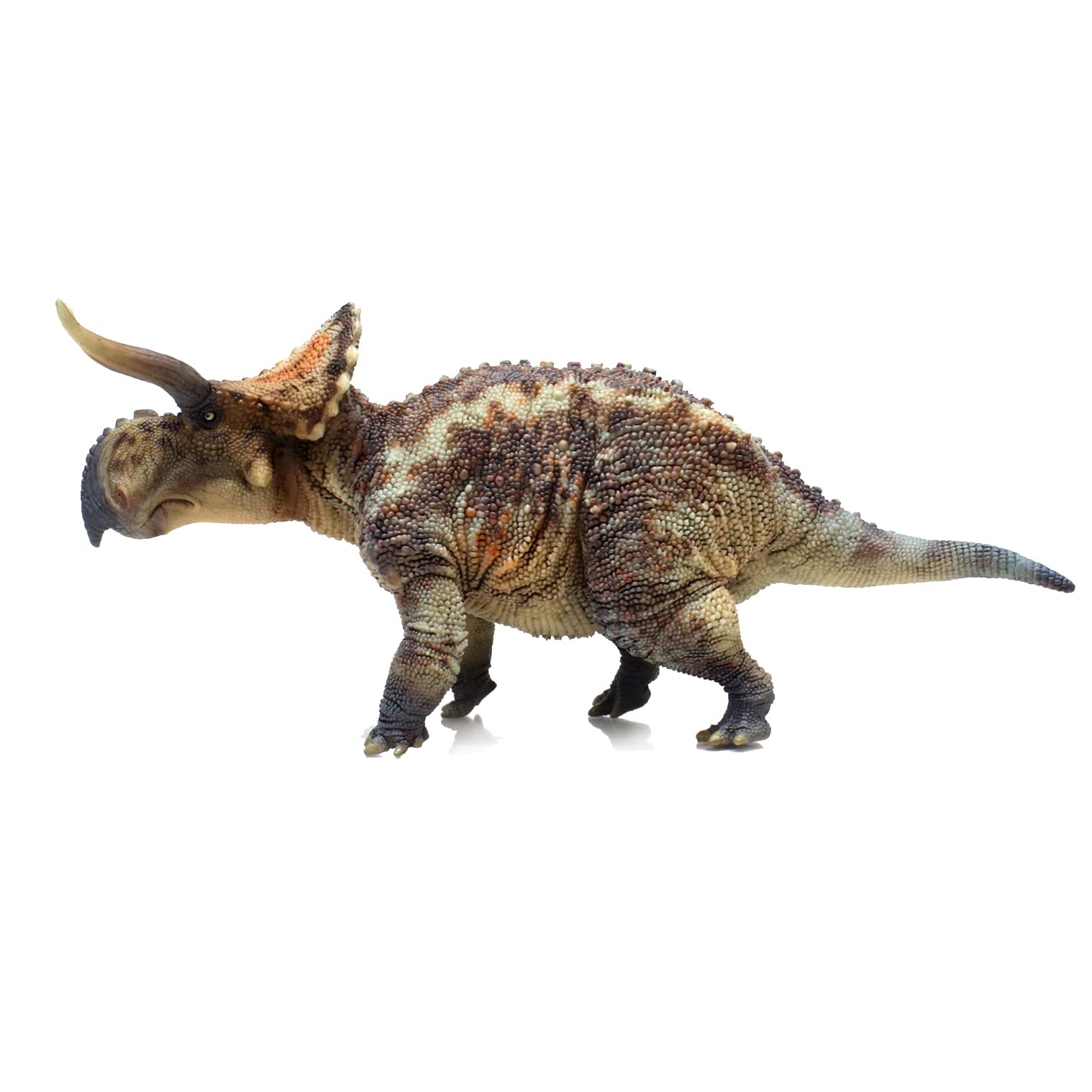 Amazon.com: HAOLONGGOOD Series（Nasutoceratops 1：35 Science and