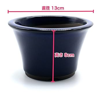 美芸 盆栽鉢 丸 青 美芸 盆栽鉢 丸 青 楽天市場】美 芸
