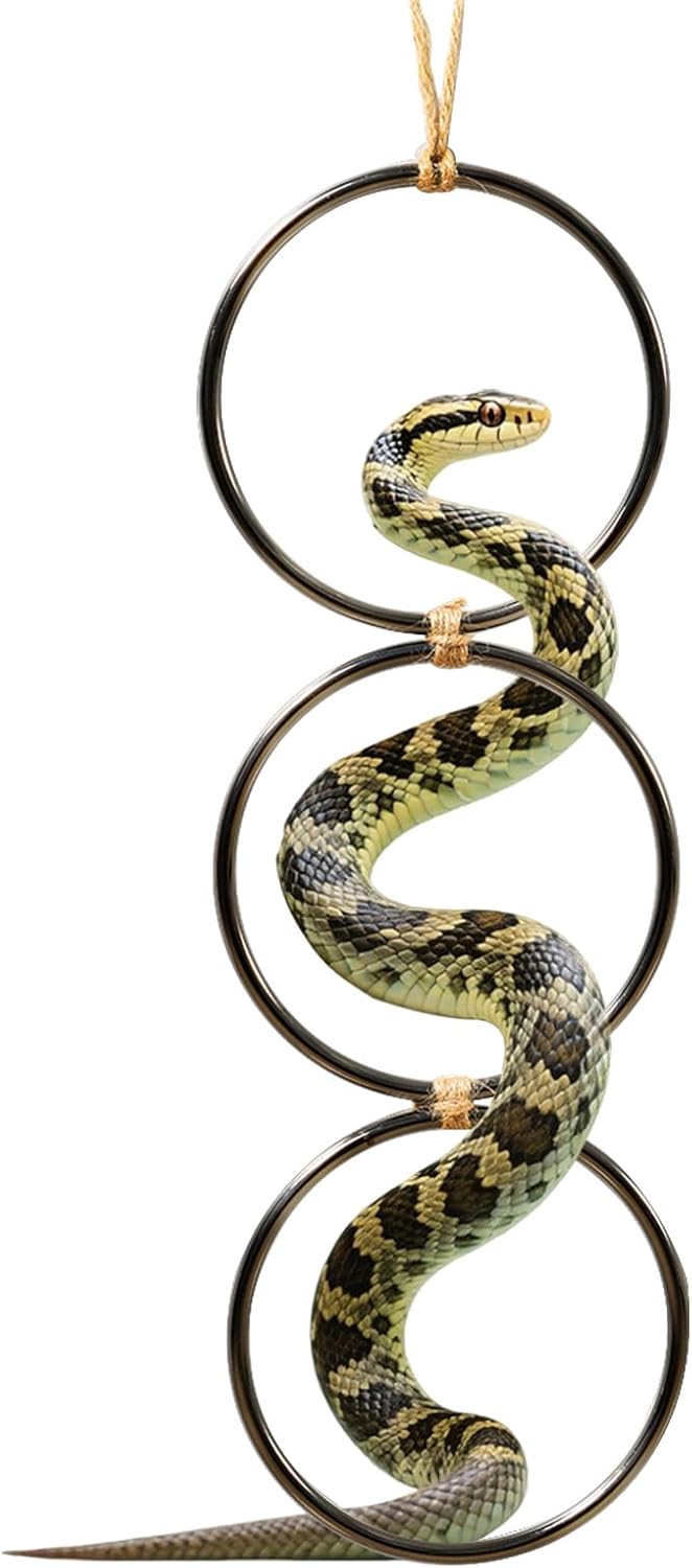 Snake Climbing Rings, Snakes Enrichment Toys, Ball Python Tank Accessories, Swing Climbing Hoop Chain for Ball Python Corn Snake