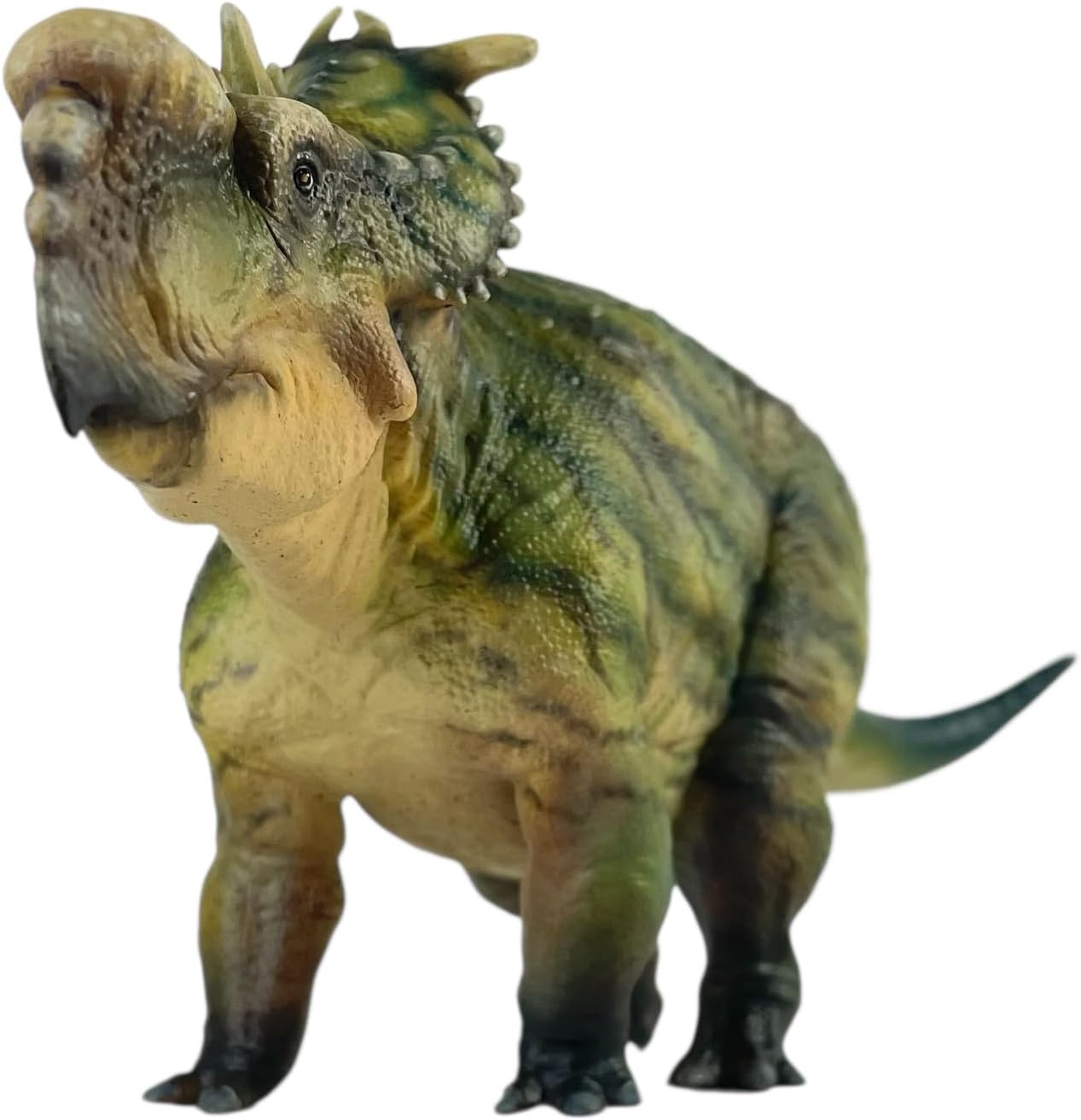 Artist Style: Pachyrhinosaurus 1：35 Science and Art Model