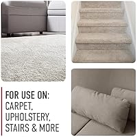 Vista 5 de Hoover Paws & Claws Aerosol - Eliminador de orina, removedor de manchas, fórmula de mascotas para alfombras y tapicería, fórmula de 22 onzas