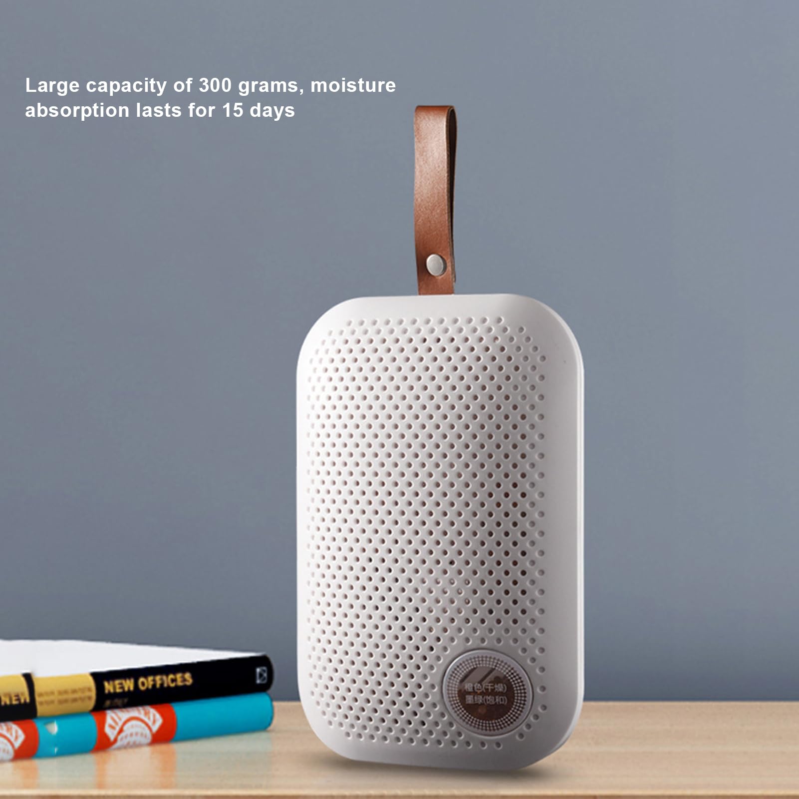Deumidificatore Mini Assorbitore di Umidità | Portatile e Silenzioso con Cordoncino per Interni Armadio Guardaroba Soggiorno e Mobile