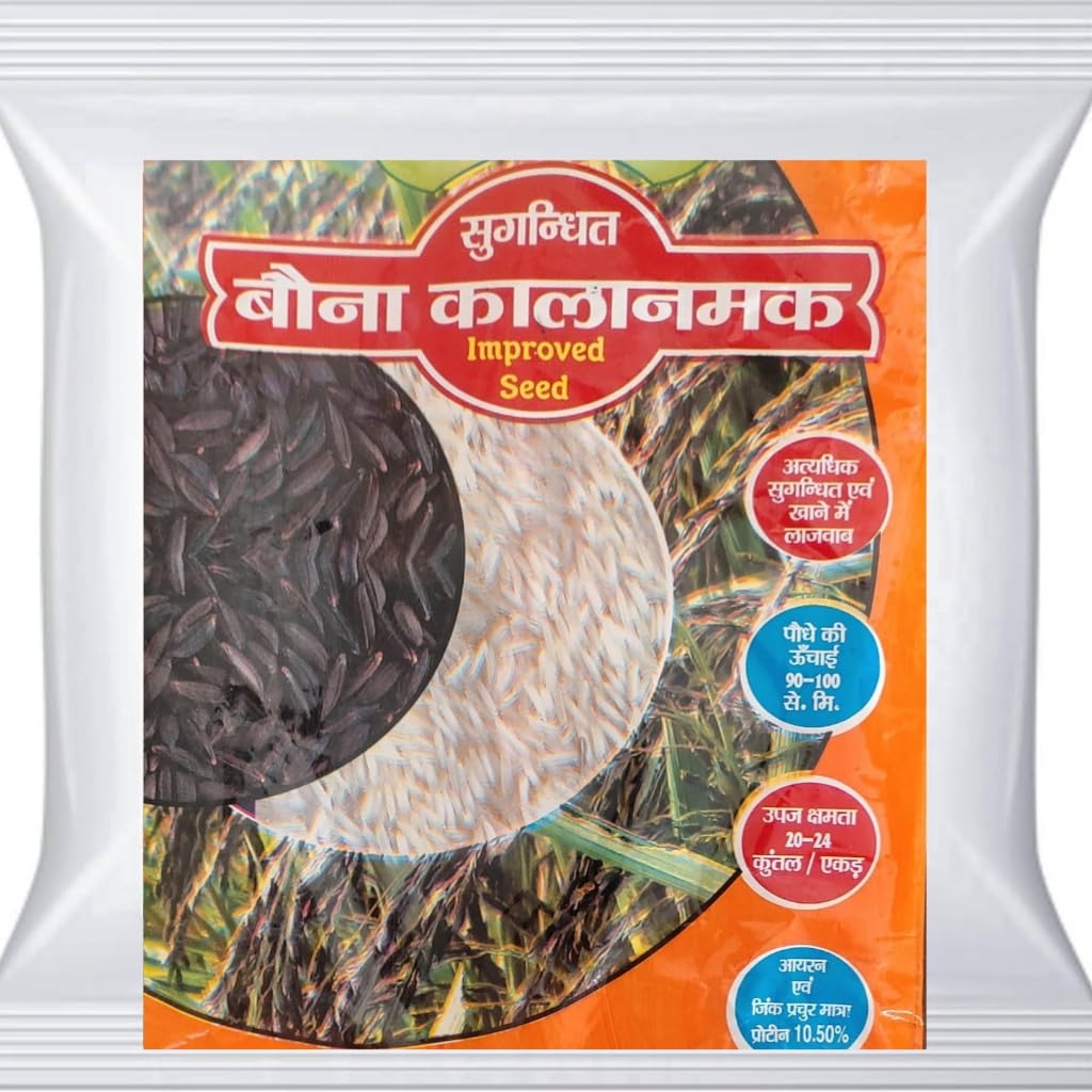 PRDF Kala Namak Kiran improved Black Paddy Seeds 2KG PACKET (B0B25CPZ66) Amazon Price History, Amazon Price Tracker