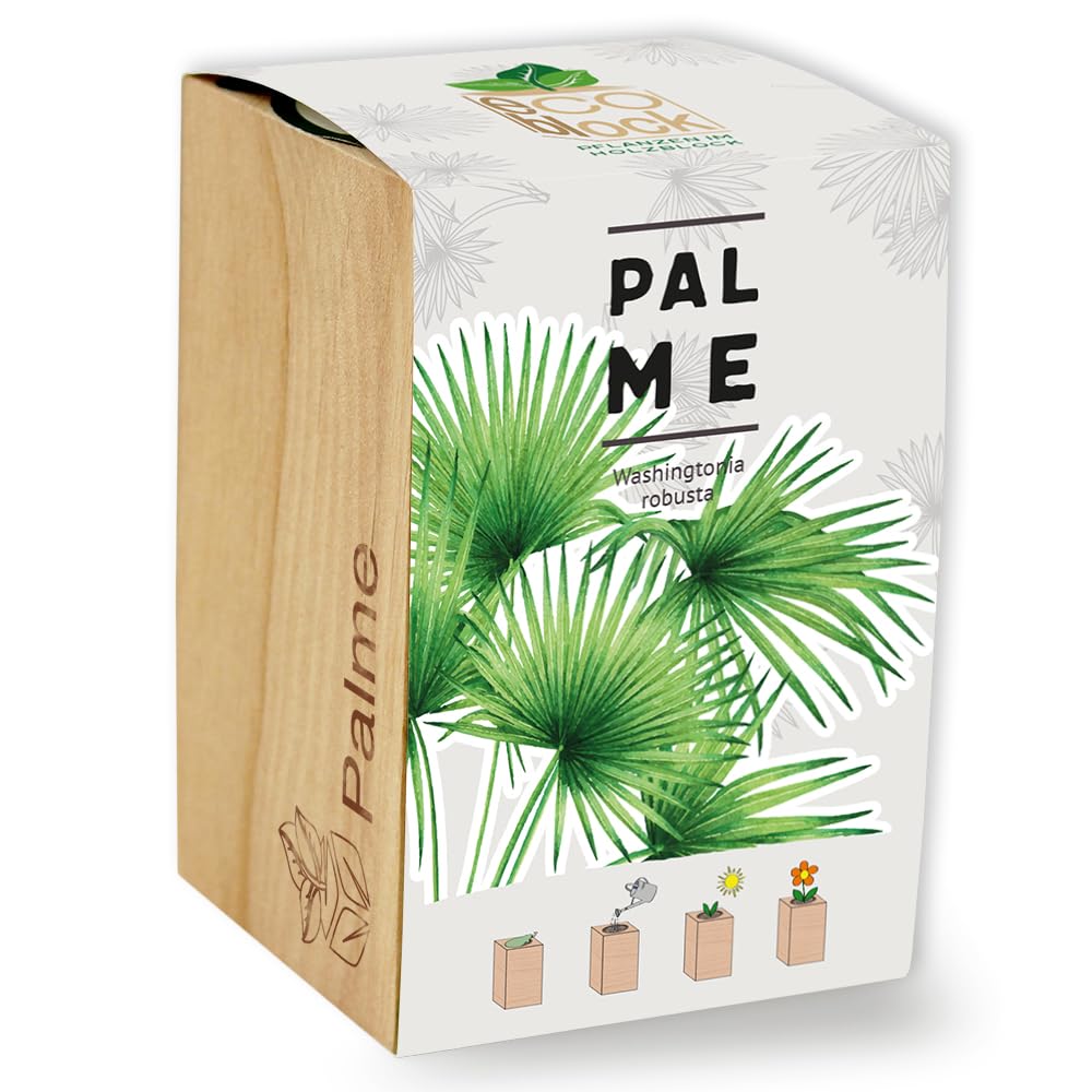 Feel Green ecoblock Palme, Nachhaltige Geschenkidee (100% Eco Friendly), Grow Your Own/Anzuchtset, Pflanzen im Holzblock, Made in Austria