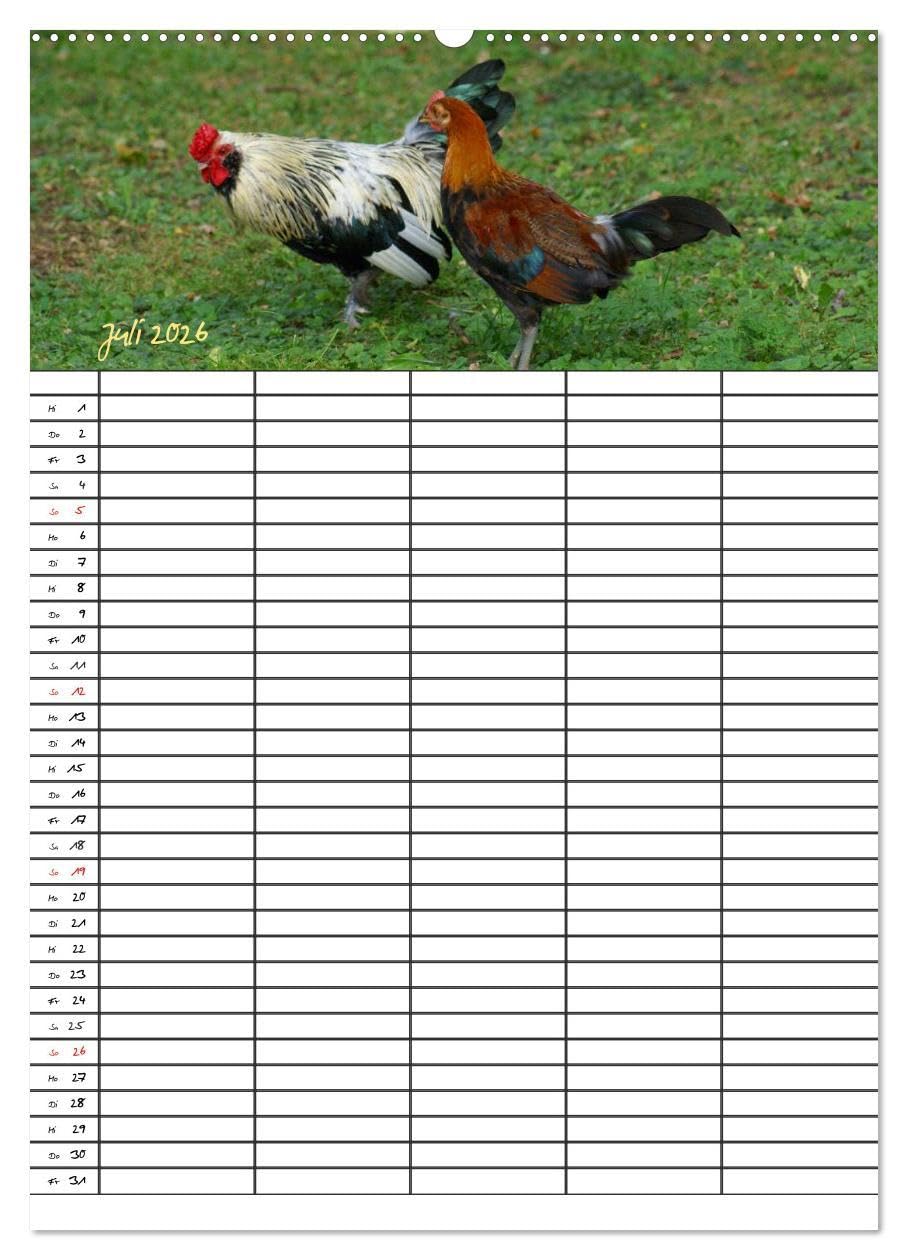 Bauernhoftiere Familienplaner (hochwertiger Premium Wandkalender 2026 DIN A2 hoch), Kunstdruck in Hochglanz: Nutz- und Haustiere (CALVENDO Tiere)