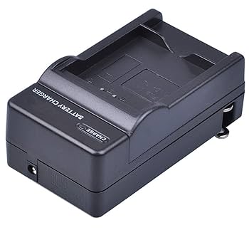 Amazon.com : Battery and Charger for Sony NP-FC10, NP-FC11