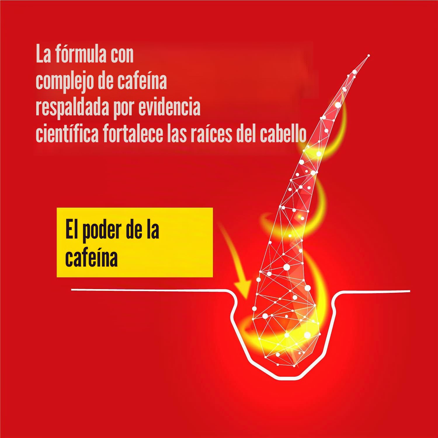 Alpecin Caffeine Liquid 3 x 200 ml | Loción anticaída para hombre para el crecimiento natural del cabello | Productos contra el adelgazamiento y la caída hereditaria | Fortalece y estimula las raíces