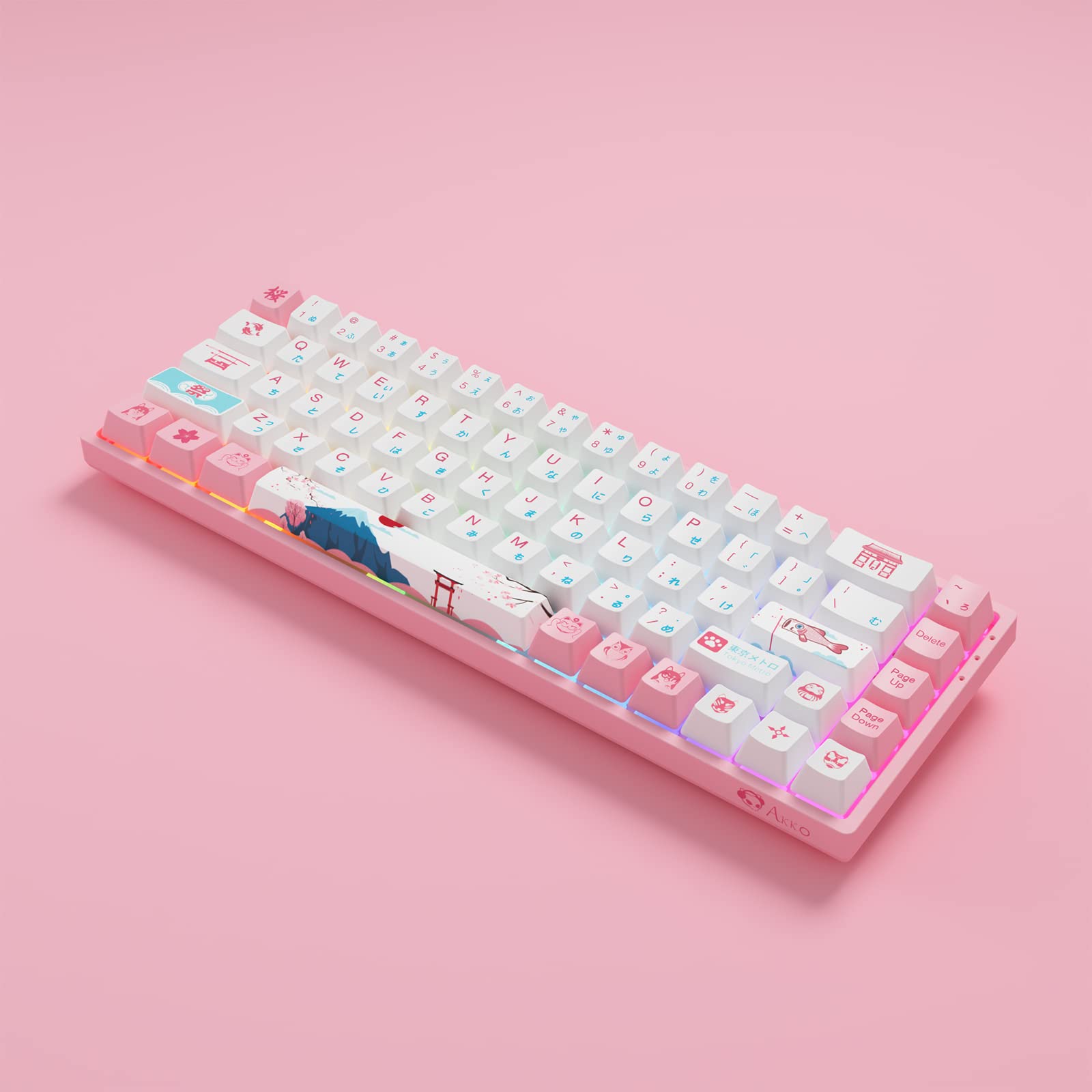 Amazon.com: Akko World Tour Tokyo R2 65% 68-Key RGB Hot-swappable