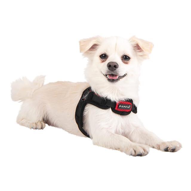 Foto 4 de 5 de Puppia Arnés Suave para Perros pequeños y medianos