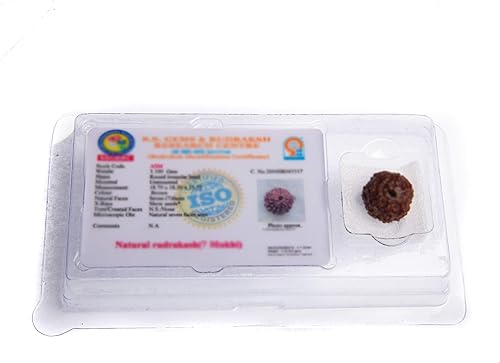 Miniatura 10 de Wonder Care - Cuenta original de Rudraksha nepalí, cuenta de rosario religioso de Rudra natural, Madera, No es una piedra preciosa