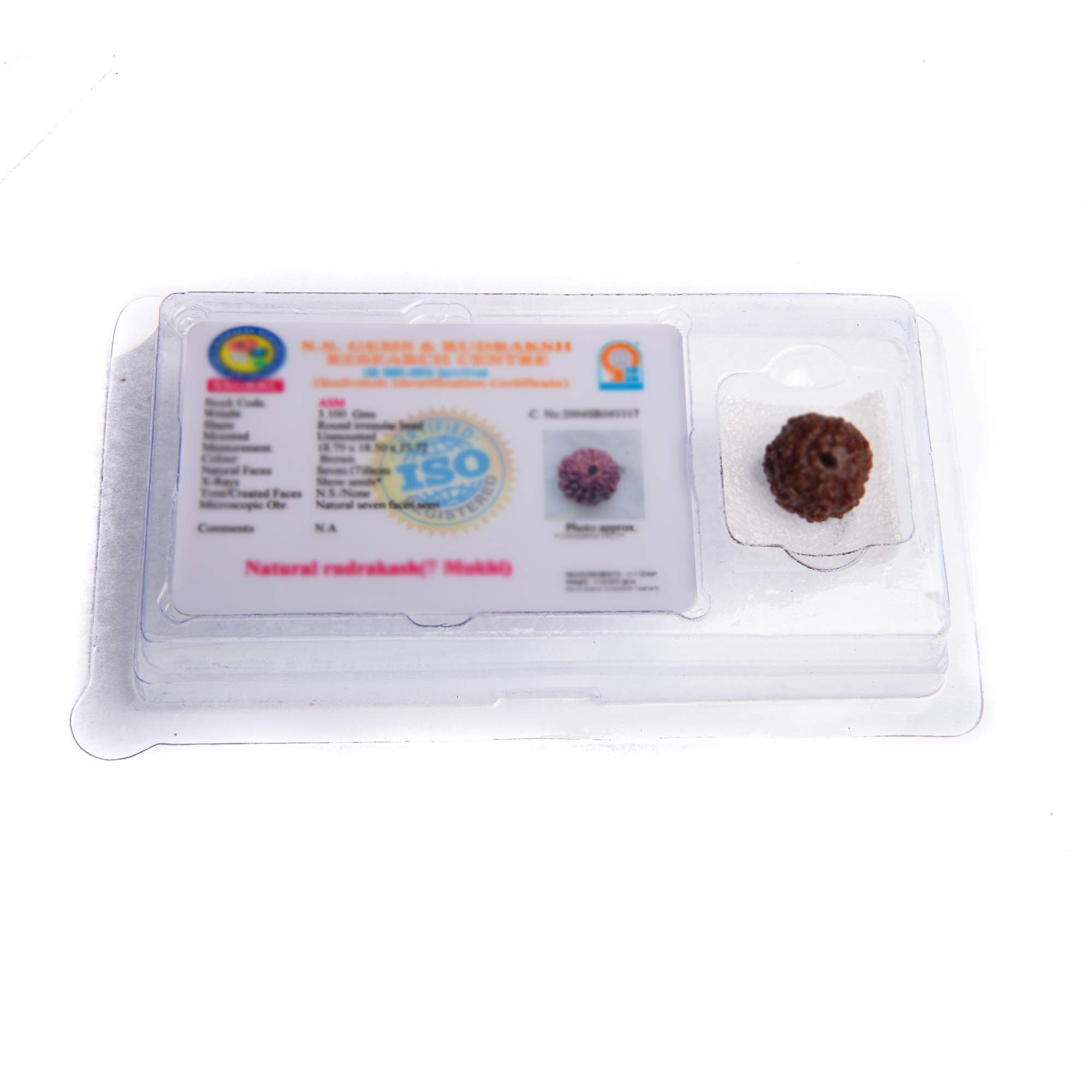Wonder Care Perlina originale nepalese Rudraksha, naturale, rudra, rosario religioso, Legno