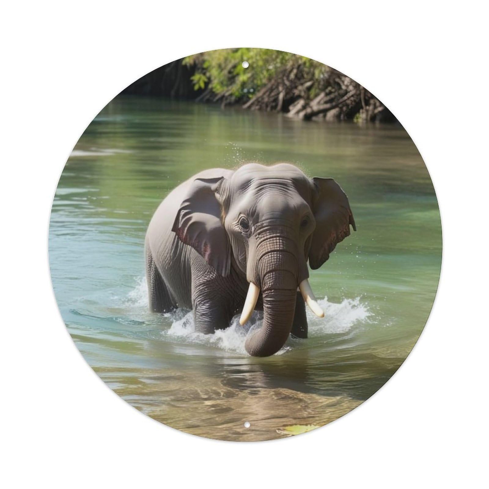 Animal Asian Elephant in Tropical River with Water Splash And Sunlight Vintage Metal Tin Sign Plaque Wall Decor for Cafe, Club Bar, Office, Garden Metal Poster 8x8Inch