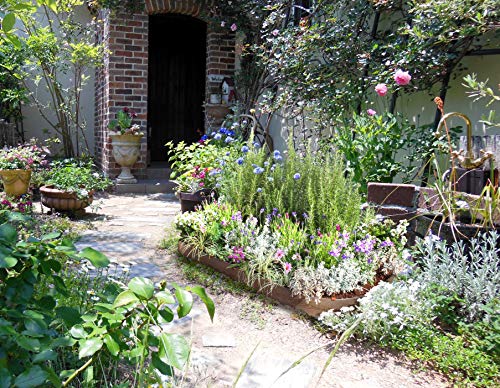 レイズドベッド選ぶなら その4 21年 農業ファッションはじめました