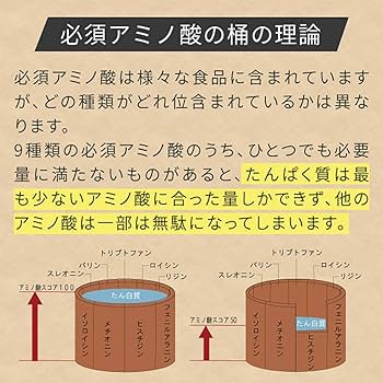 Amazon | nichie ホエイプロテイン WPI たんぱく質約96%(無水