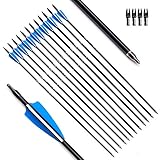 Tiger Archery 30inch Fiberglass Arrow With Replaceable Arrowhead Spine 500 for Recurve and Compound Bow Hunting and Practice Hunting(Pack of 12)