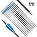 Tiger Archery 30inch Fiberglass Arrow With Replaceable Arrowhead Spine 500 for Recurve and Compound Bow Hunting and Practice Hunting(Pack of 12)