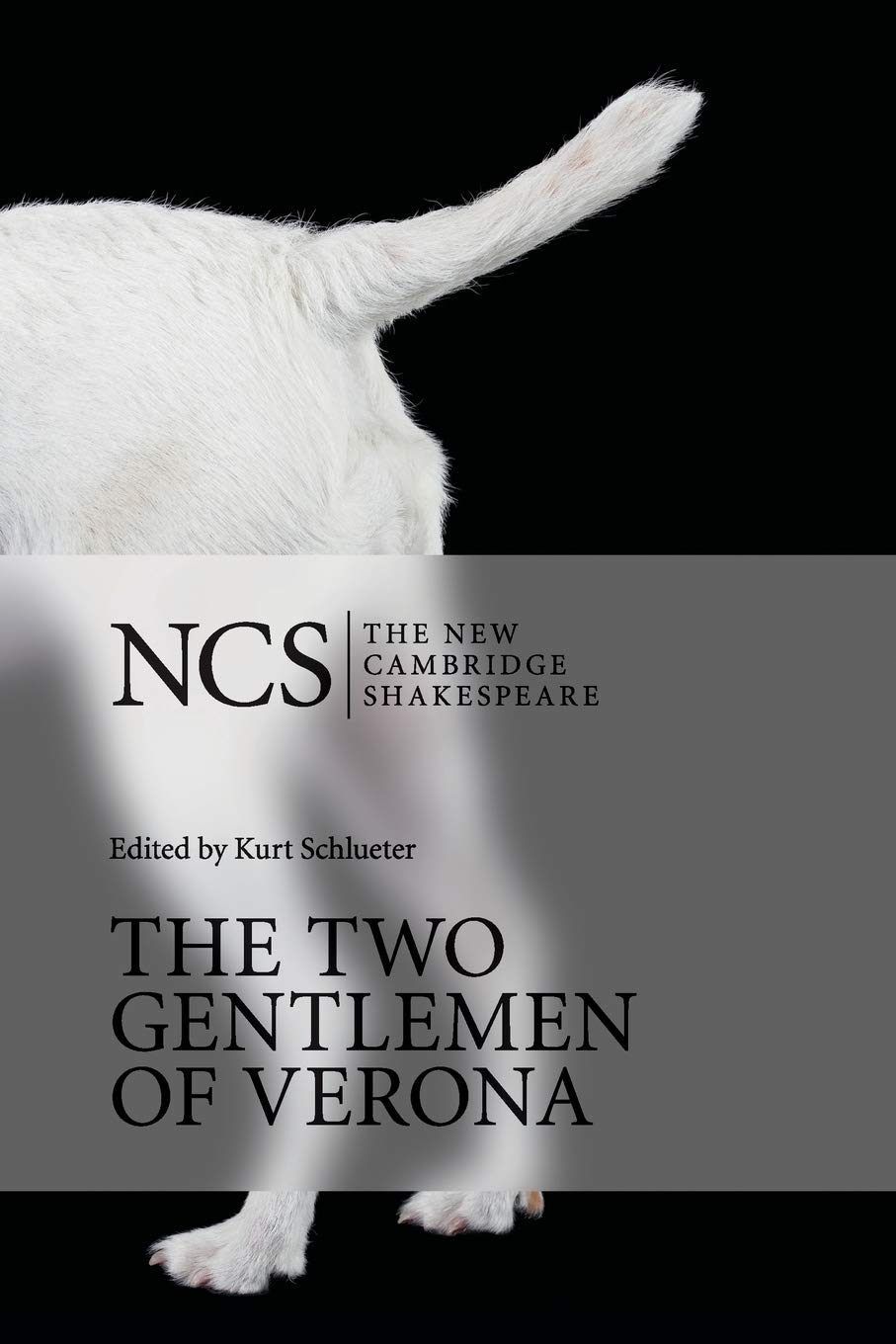 The Two Gentlemen of Verona (The New Cambridge Shakespeare)