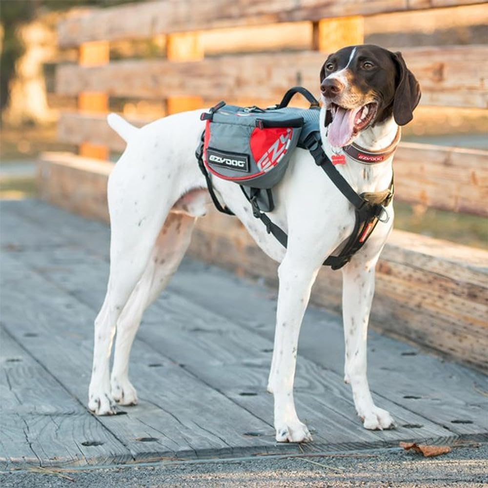 EzyDog Summit Outdoor Dog Backpack - Reflective and Incorporates a Chest Plate Harness - Easy Access Saddlebags with Superior Storage Capacity and Comfort - Front Pull Ring (Red/Gray, Medium)