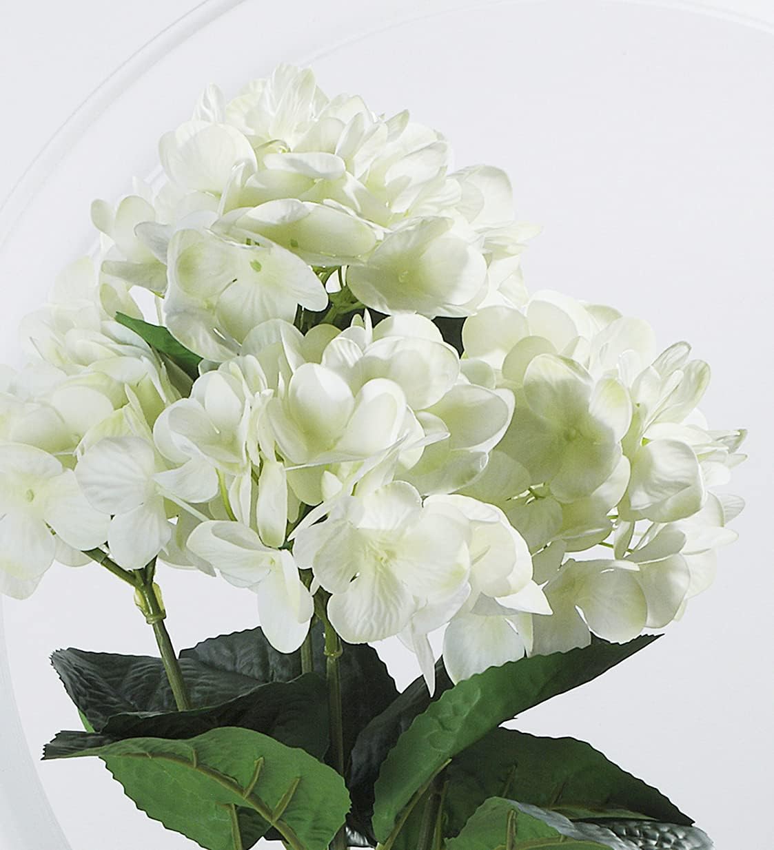 ENOVA HOME Natural Touch Hydrangea Flower in Clear Glass Vase with Faux Water (Cream)