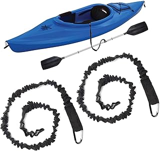 SANZHENG Kayak Paddle Leash, 37-60 Inch Stretchable Paddle Strap with Carabiner, Kayak Leash Lanyard for SUP Kayak Canoe Paddle Fishing Pole Rod (2 Pcs, Black)