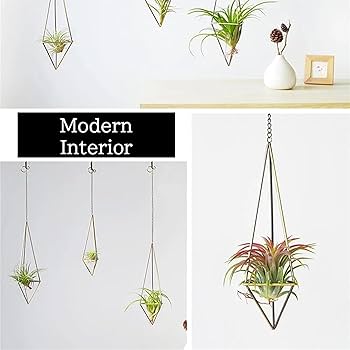 Amazon.co.jp: NOELAMOUR プラントハンガー アイアン エア