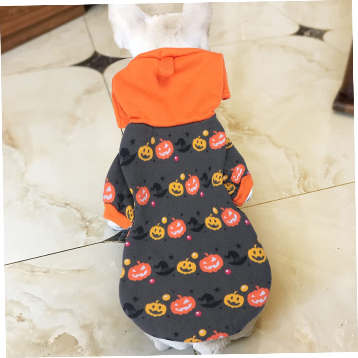 HMJGDHX 3 Pezzi di Costume per Animali Domestici, Cappotto per Animali, Vestiti di Zucca di Halloween per Cani, Cosplay di Halloween
