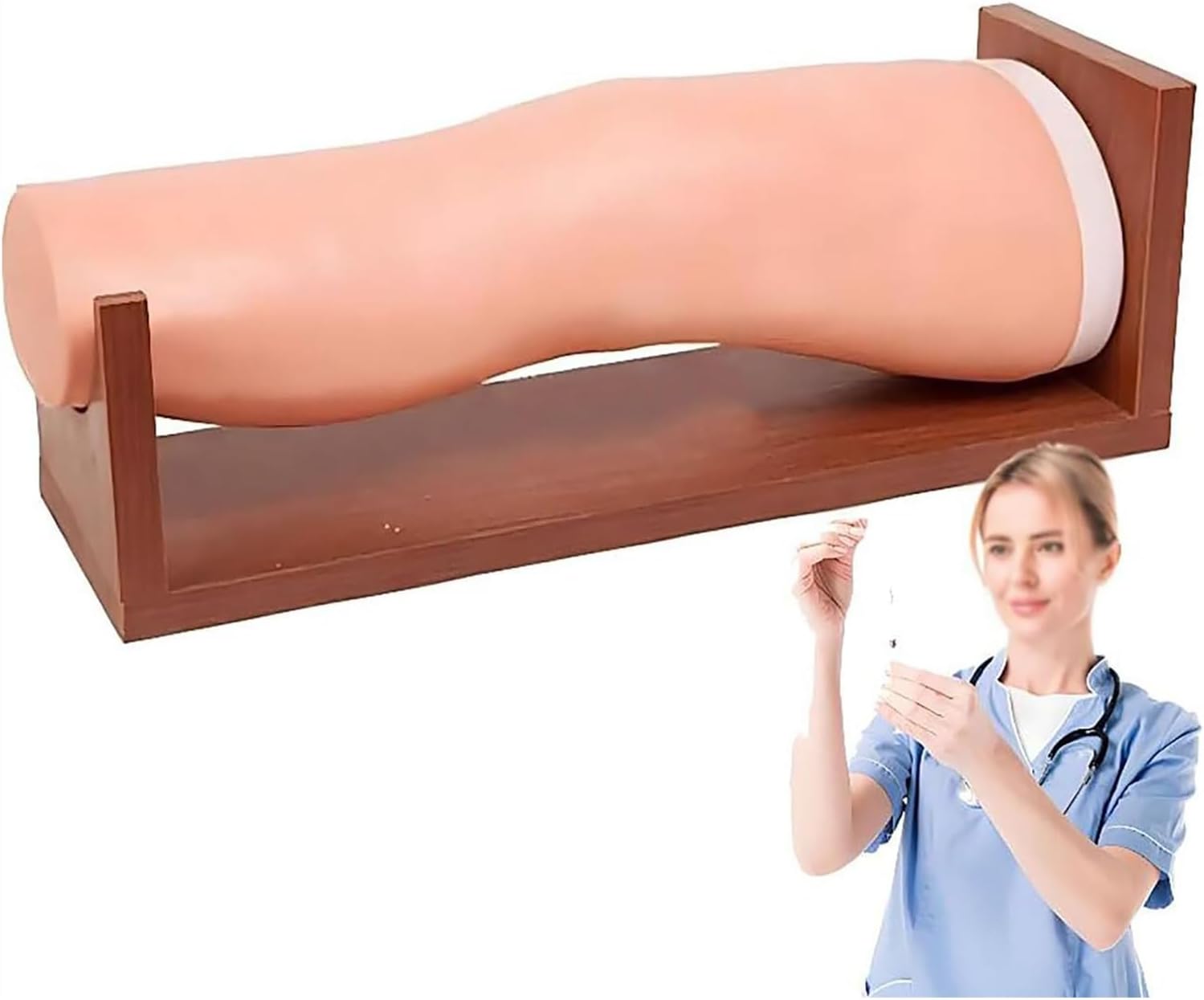 Knee Injection Model,Intra Articular Injection Training Simulator,Learning Display And Collectibles