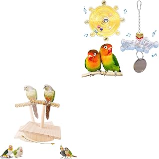 Colorful Bird Toys & Wooden Perch Set (2PCS, Random Color) - Interactive Spinner Wheel & Training Stand for Parakeets, Cockatiel, Conure, Budgies - Puzzle Enrichment