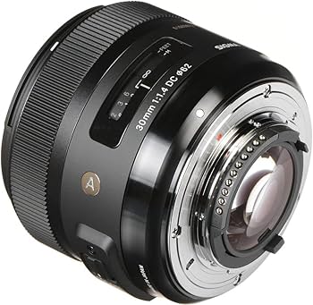 Amazon.com : Sigma 30mm f/1.4 DC HSM Art Lens for Nikon F (301-306