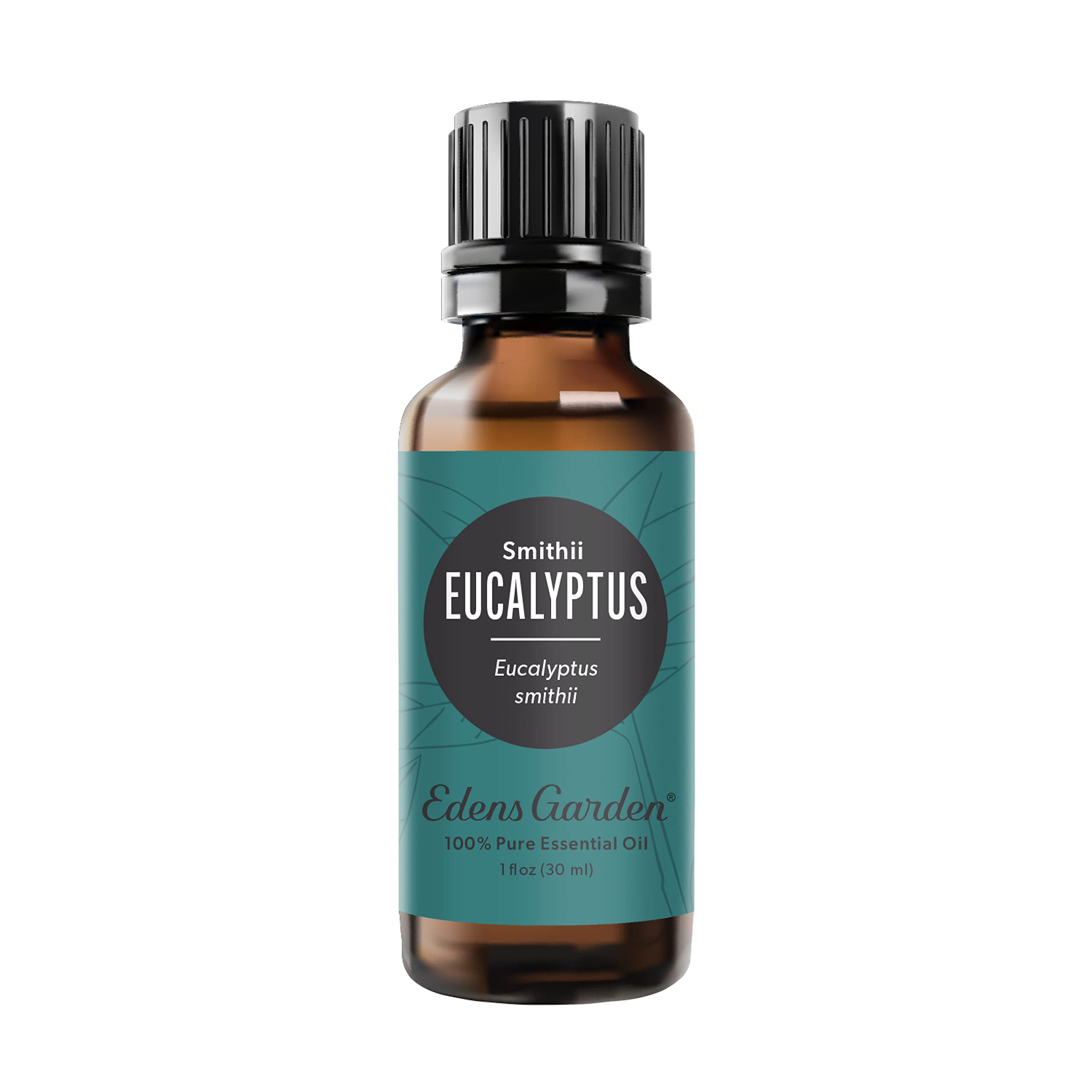Edens Garden Eucalyptus- Smithii Essential Oil- 100% Pure Premium Grade, Undiluted, Natural, Therapeutic, Aromatherapy, The Best for Diffuser, Skin, Hair, Humidifiers 30 ml (1 fl oz)