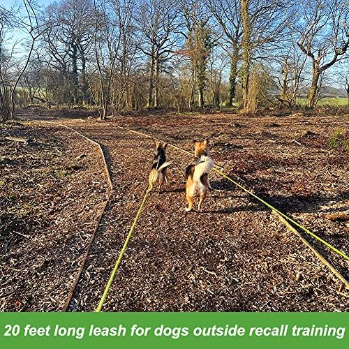 Vivifying Floating Long Dog Leash, 20ft Dog Training Leash for Swimming and Lake, Reflective Long Rope Lead with Soft Handle for Outside, Yard, Camping, Hiking and Beach (Green) — view 7