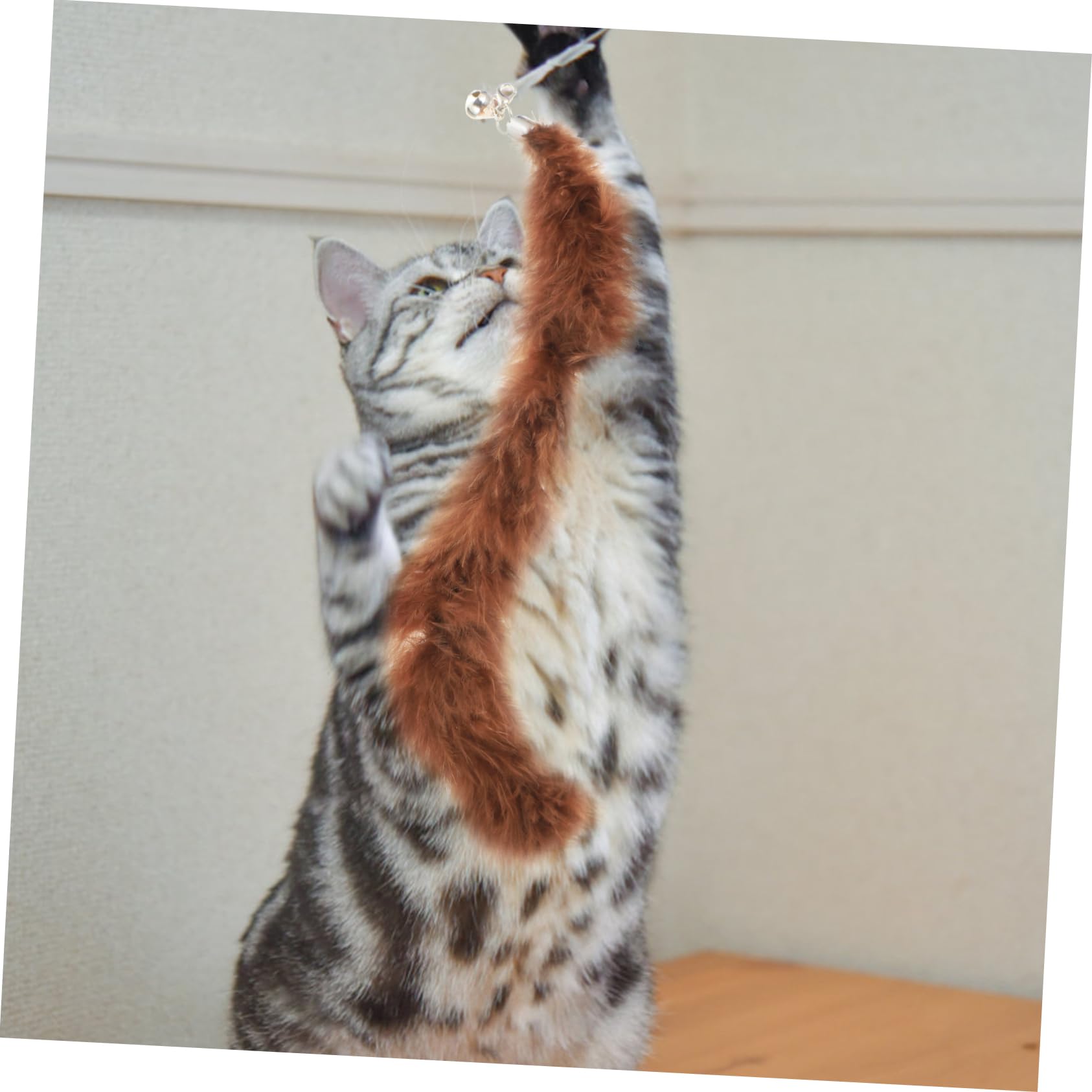 Yardwe 18stücke Teiliges Katzen-Spielzeug Saugnapf Und Federn Interaktives Teaser-Spielzeug Für Katzen Selbstspielzeug Für Haustiere Mit Spielzeugglocken Und Abnehmbarer Schnur