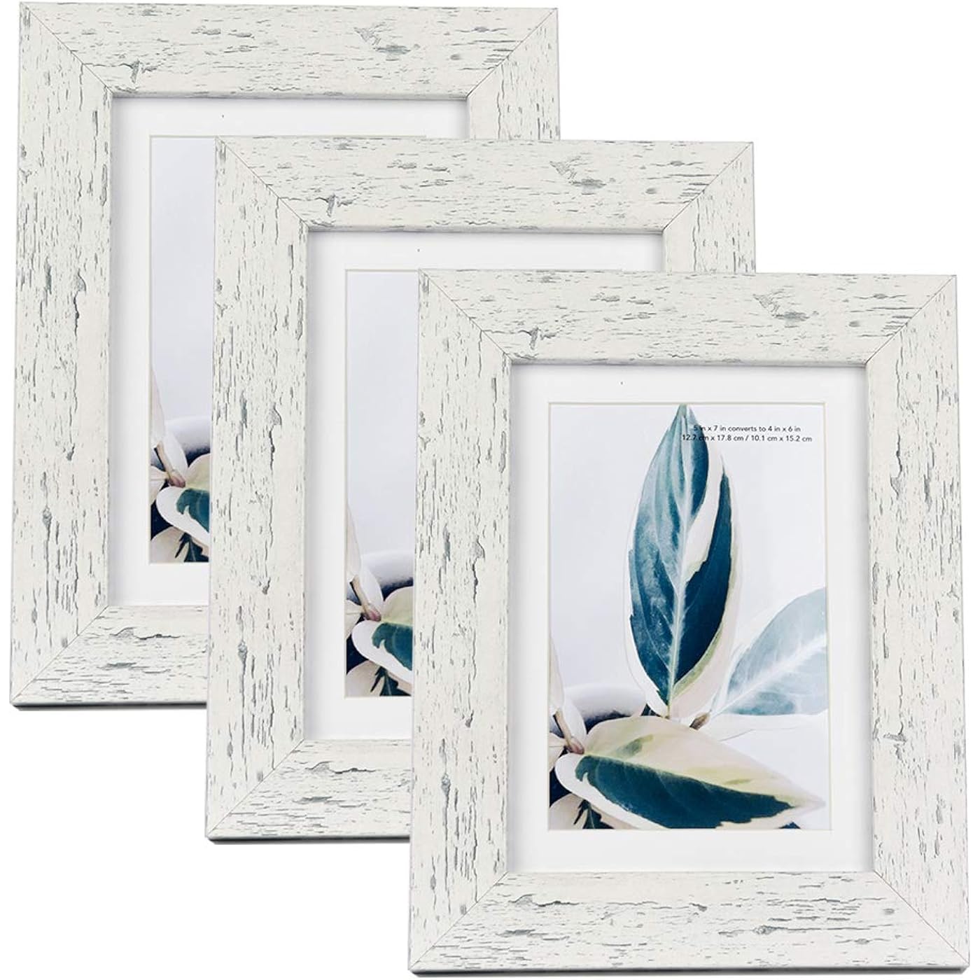 Gallery image 1