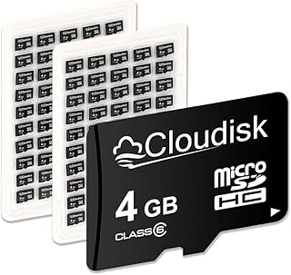 100 Pack – Cloudisk MicroSD Memory Card (Bulk Packaging) LOT of 100 with SD Adapter and USB 2.0 Micro SD Memory Card Reader (4GB (100 Pack))